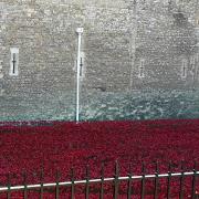 Ceramic poppies pouring from the Tower of London