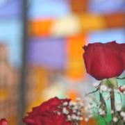 Red roses in front of Window